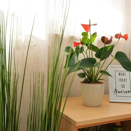 Apartman Divna Betina (Sibenik-Knin)