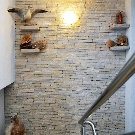 Apartman Divna *