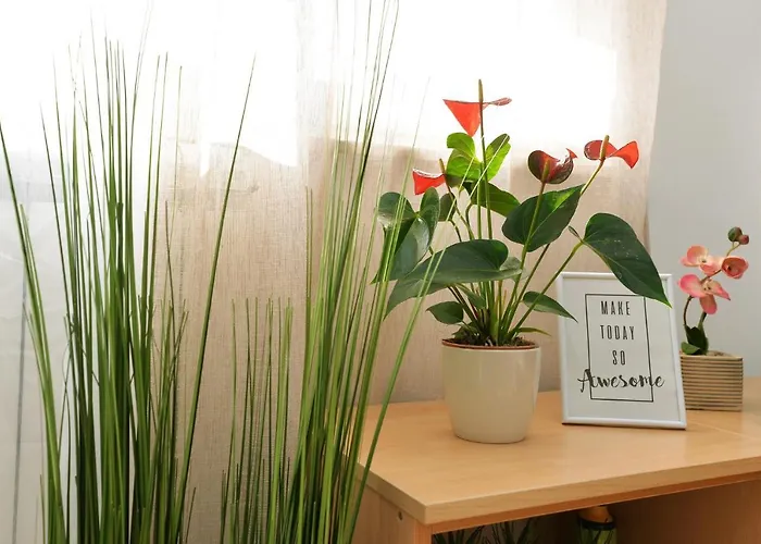 Appartement Divna Betina (Sibenik-Knin)